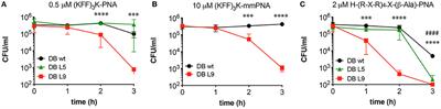 Effects of LPS Composition in Escherichia coli on Antibacterial Activity and Bacterial Uptake of Antisense Peptide-PNA Conjugates